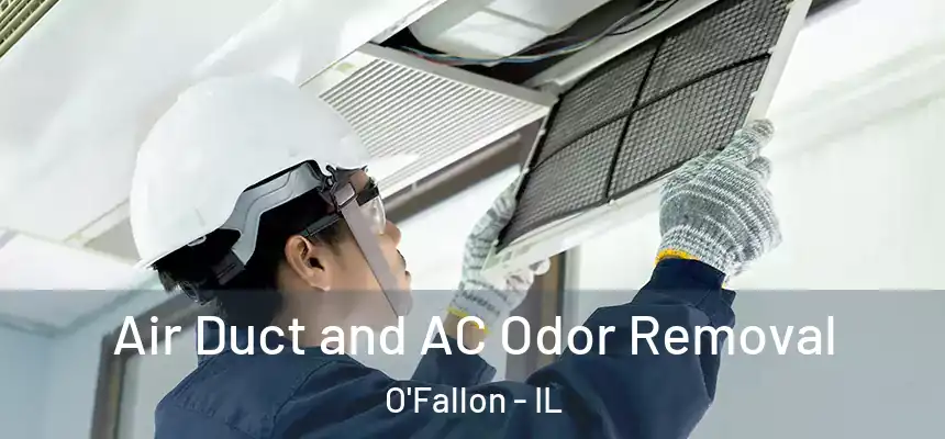  Air Duct and AC Odor Removal O'Fallon - IL