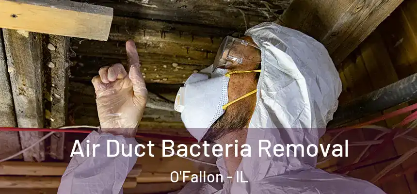 Air Duct Bacteria Removal O'Fallon - IL