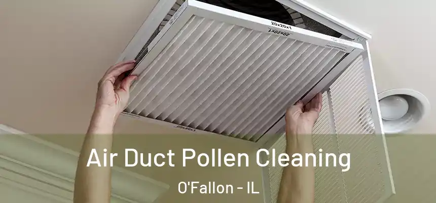Air Duct Pollen Cleaning O'Fallon - IL