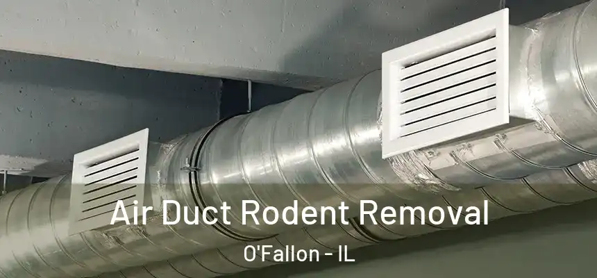 Air Duct Rodent Removal O'Fallon - IL