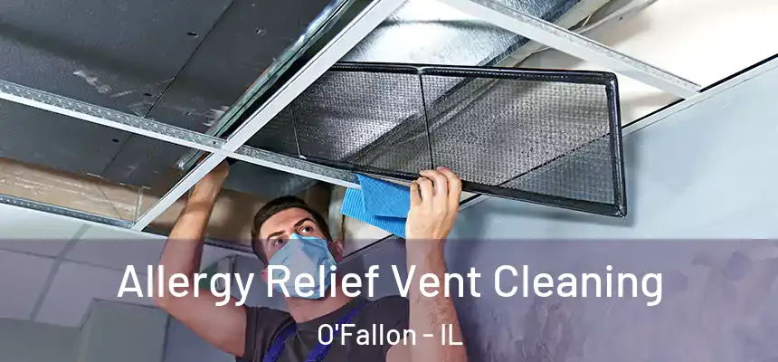 Allergy Relief Vent Cleaning O'Fallon - IL