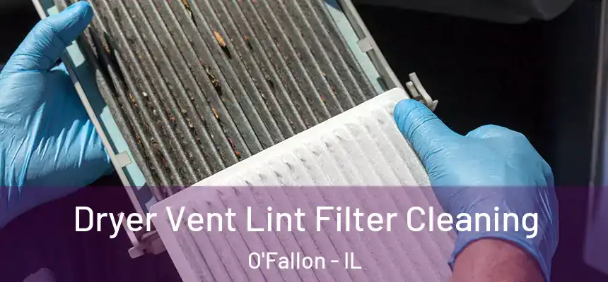 Dryer Vent Lint Filter Cleaning O'Fallon - IL
