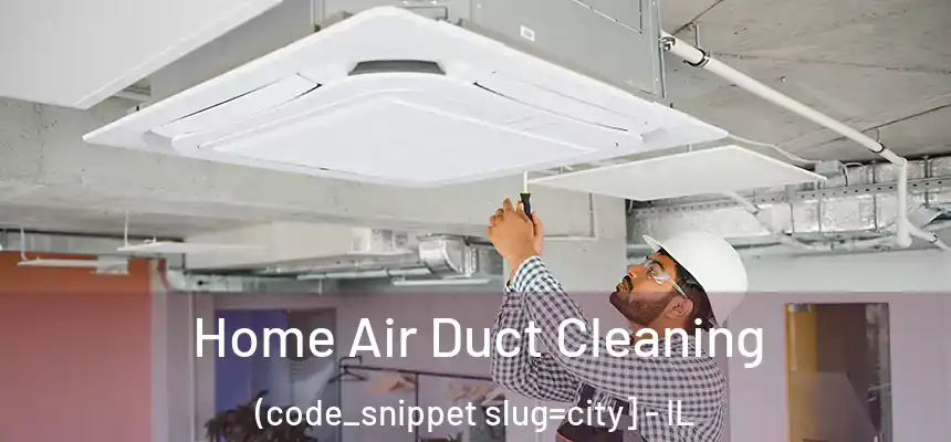  Home Air Duct Cleaning (code_snippet slug=city] - IL