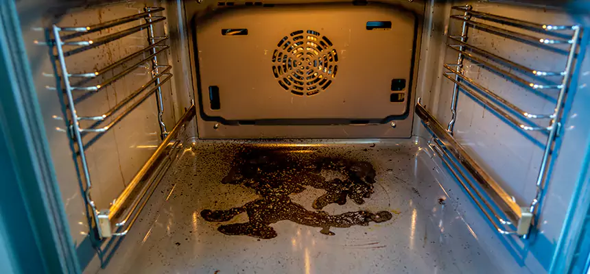 Our Dryer Vent Mold Cleaning Services in O'Fallon, IL