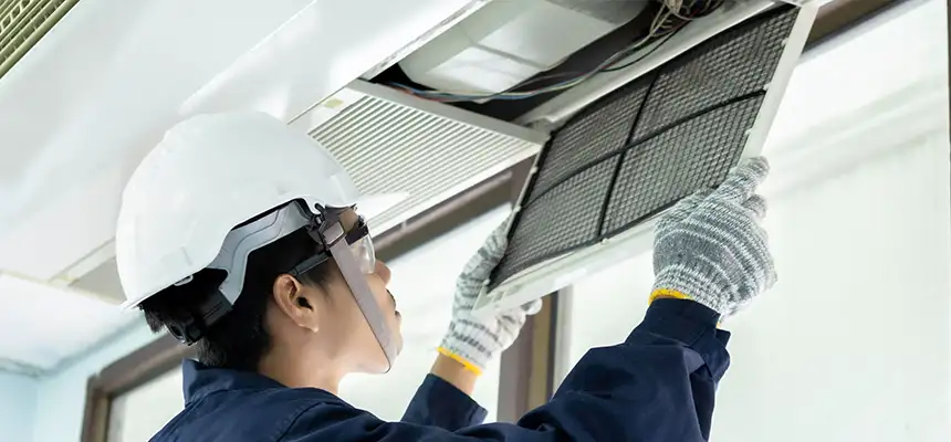 Our Lint Trap Cleaning Service Services in O'Fallon, IL