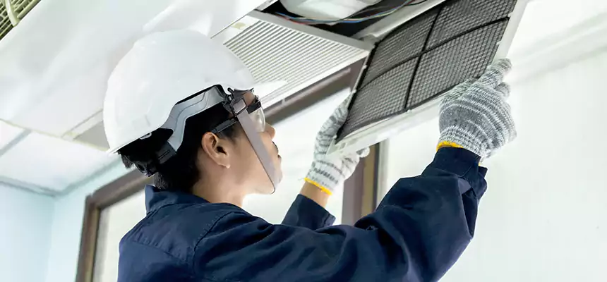 Our Mold & Mildew Removal from Air Ducts Services in O'Fallon, IL