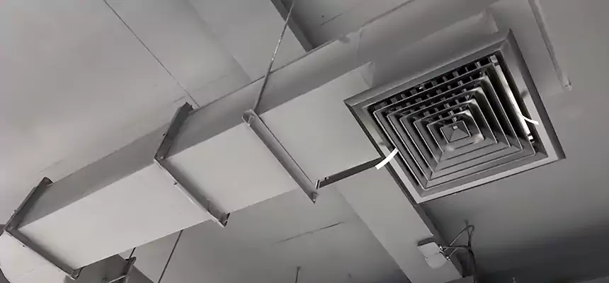 Our Pest Removal From Ducts Services in O'Fallon, IL