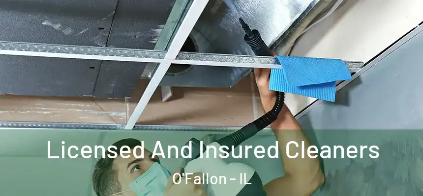 Licensed And Insured Cleaners O'Fallon - IL