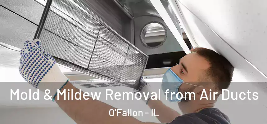  Mold & Mildew Removal from Air Ducts O'Fallon - IL