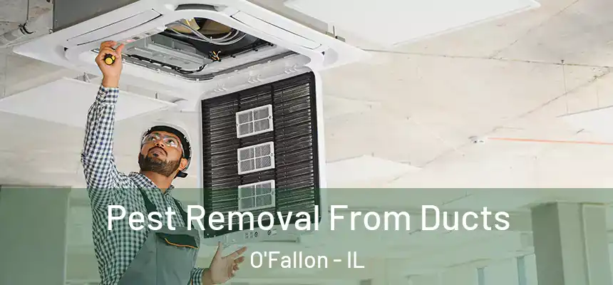 Pest Removal From Ducts O'Fallon - IL