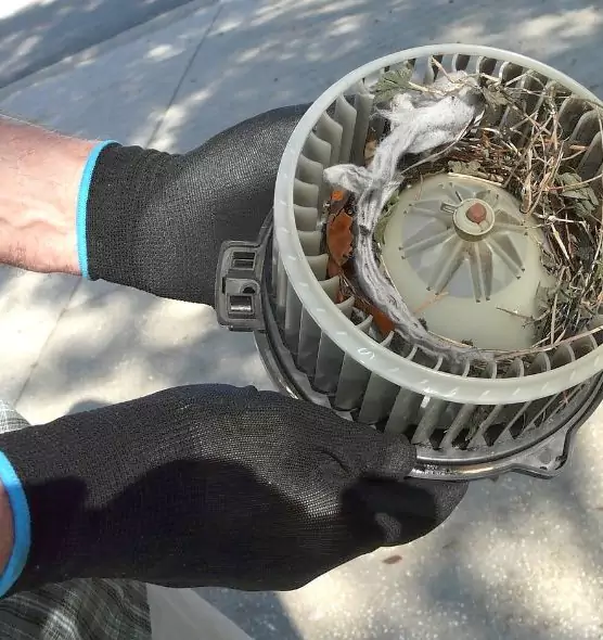 About Air Duct Mice Removal in O'Fallon, IL