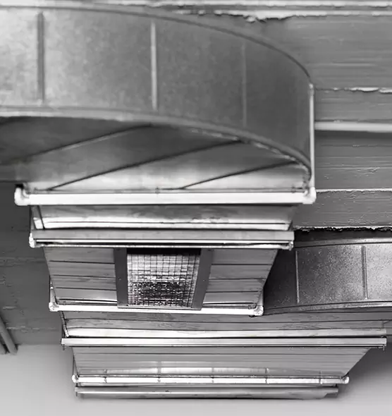 Professional Air Duct Pet Hair Removal in O'Fallon, IL