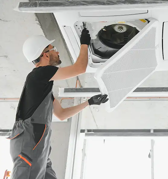 About Air Duct Rodent Removal in O'Fallon, IL