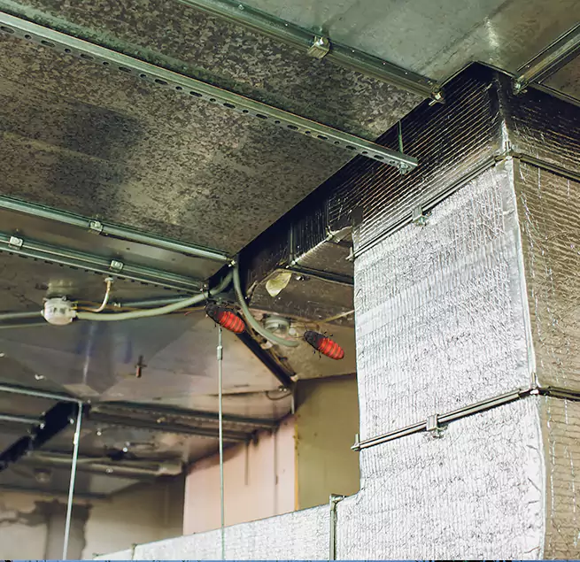 Why Homeowners & Businesses Trust Us in O'Fallon, IL?