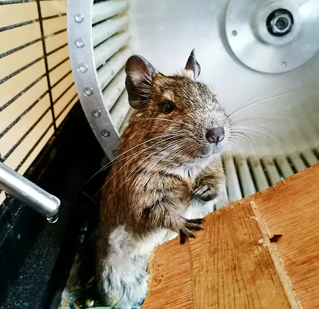 Why Homeowners & Businesses Trust Us O'Fallon, IL?