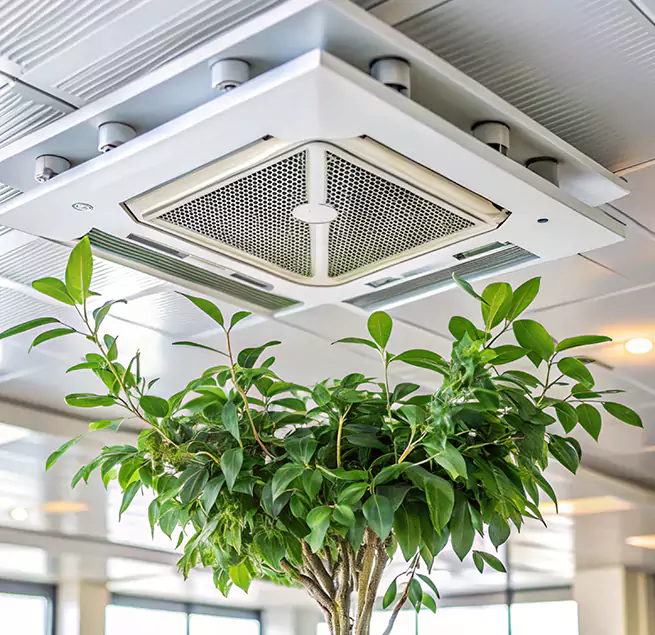 Why Homeowners & Businesses Trust Us in O'Fallon, IL