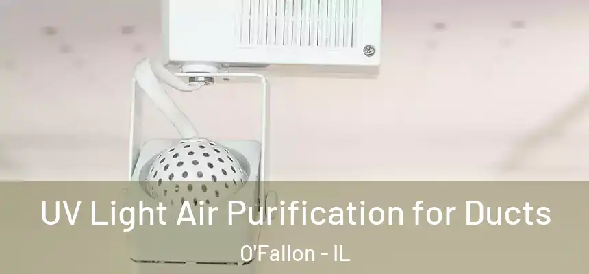  UV Light Air Purification for Ducts O'Fallon - IL